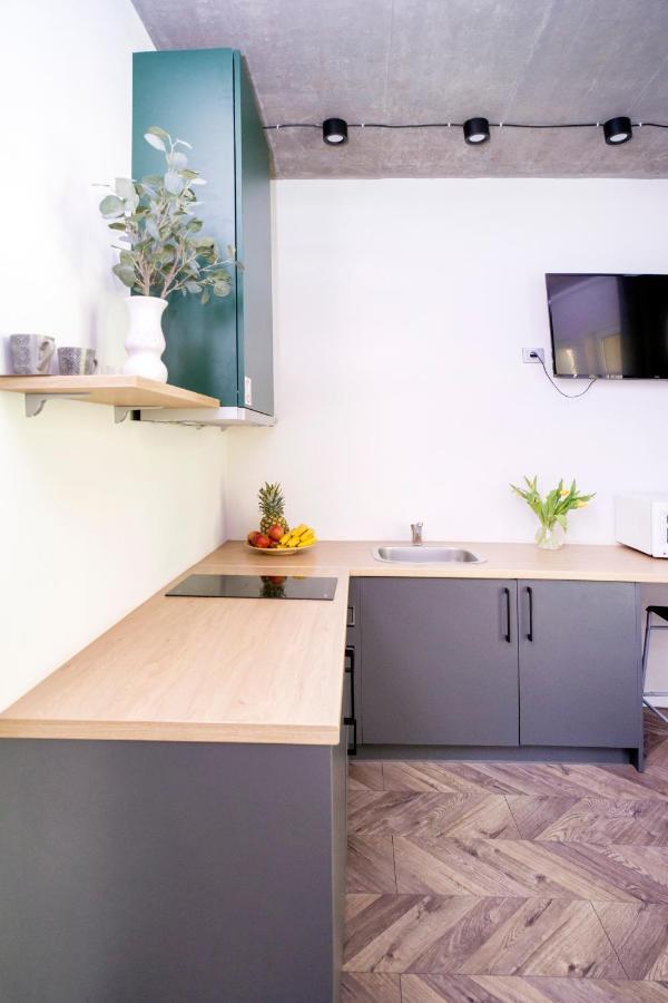 House 22A Studio Apartments Kaunas Buitenkant foto